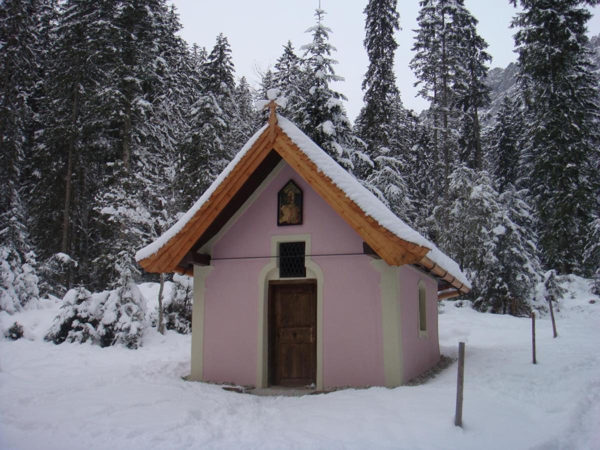 Otto Steiner Appartements Pension Ellmau & Wilder Kaiser Dış mekan fotoğraf